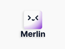 Merlin AI: 1-Year Subscription