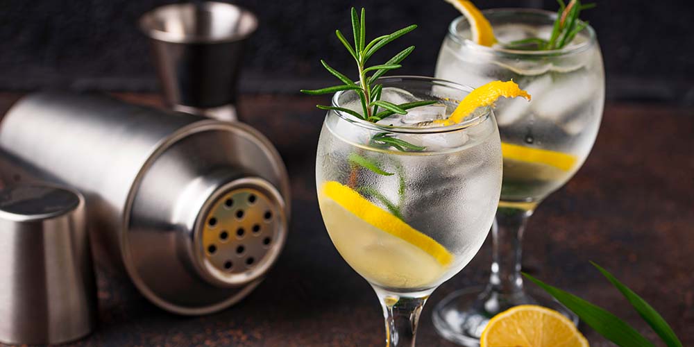 The Ultimate Gin-Cocktail Course