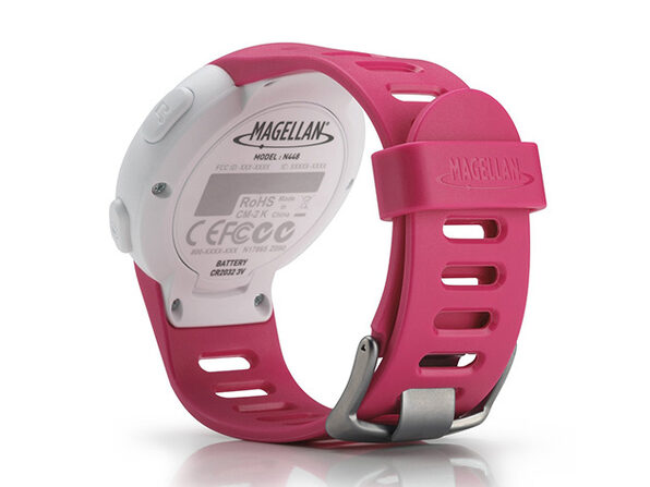 echo smart watch