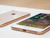 Apple iPhone 8 4.7" 256GB GSM Unlocked Gold (Certified Refurbished)
