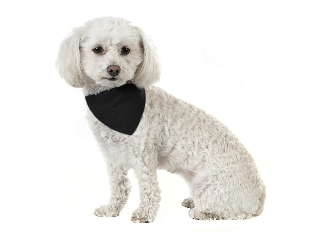 Solid Cotton 8 Pack Dog Bandana Triangle Bibs  - Small and Medium Pets - Black