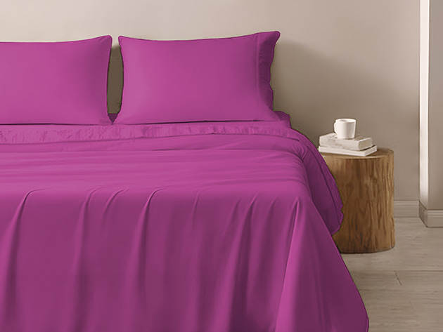 4-Piece Microfiber Sheet Set (Purple/Full)