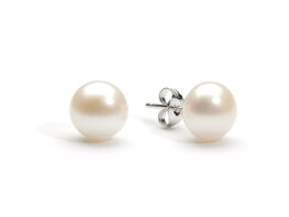 White Freshwater Pearl Stud Earrings