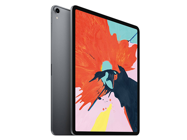 iPad Pro 3rd Gen 12" RAM SSD - Space Gray (Refurbished: Wi-Fi Only) | Entrepreneur