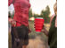 Collapsible Drink Tumbler - Cascadia