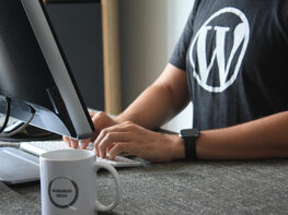 WordPress Plugin Development: A Project-Based Approach