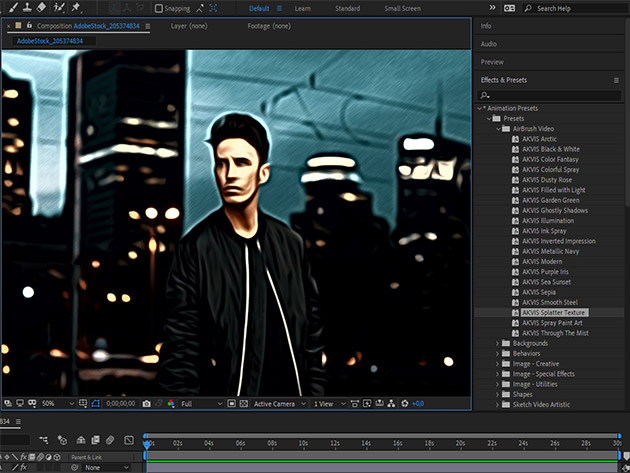 Akvis AirBrush Video Effects: Lifetime License (Pro Plan)