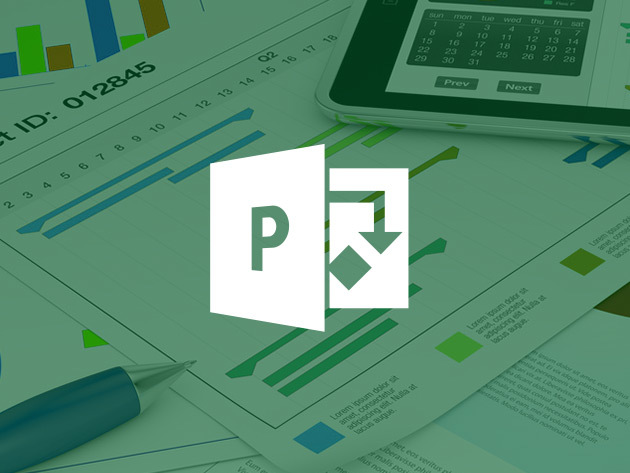 Microsoft Project 2016 For Beginners: Master the Essentials