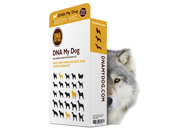 wolf canid hybrid testing kit
