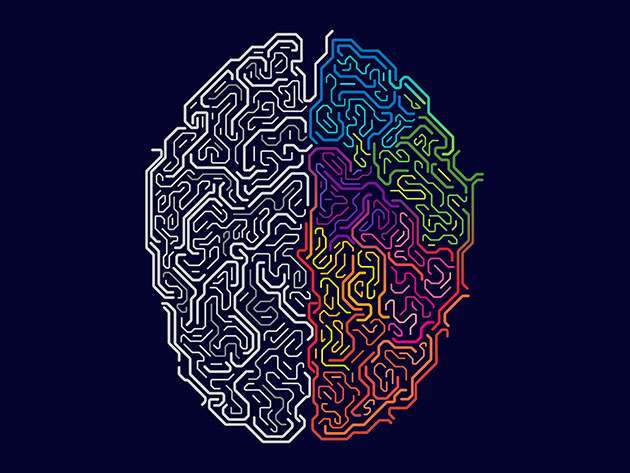 Master Your Brain: Neuroscience for Personal Development