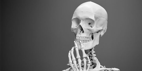 Introduction to the Skeletal System - Product Image