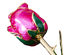 24K Gold Preserved Eternal Rose: Celebration Rose