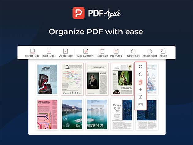 PDF Agile Premium for Windows: Lifetime Subscription