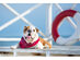 Balec Paisley Polyester Pets 6 Pack Dogs Bandana Triangle Shape  - Oversized - White