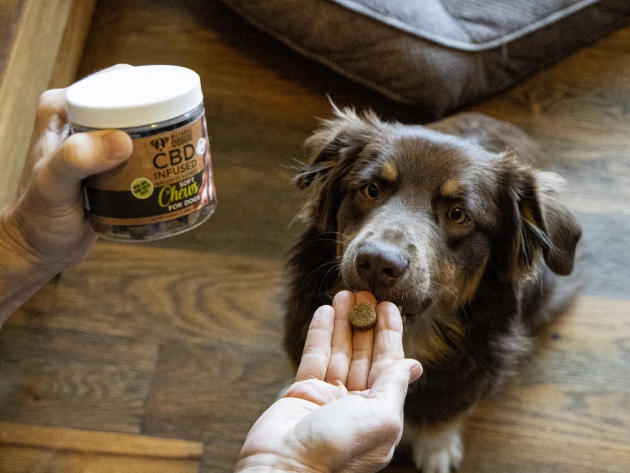 Natural Doggie CBD-Infused Bacon Flavor Soft Chews
