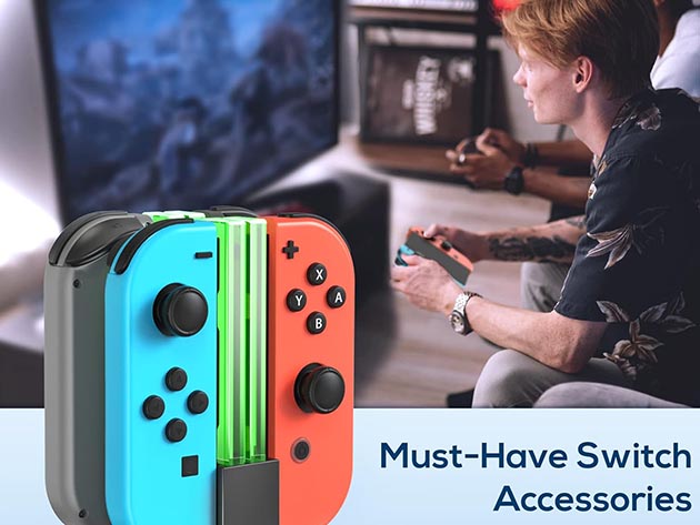 Switch Joy-Con Charging Dock with LED Indicator Lights | StackSocial