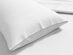 4-Piece Pre-Washed Microfiber Sheet Set (White/Queen)