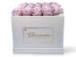 Large Square White Velvet Box (25 roses) - Lavender