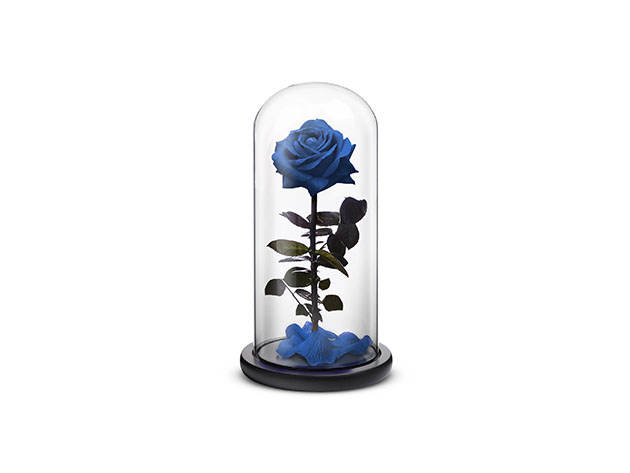 Blue Everlasting Rose (Large)