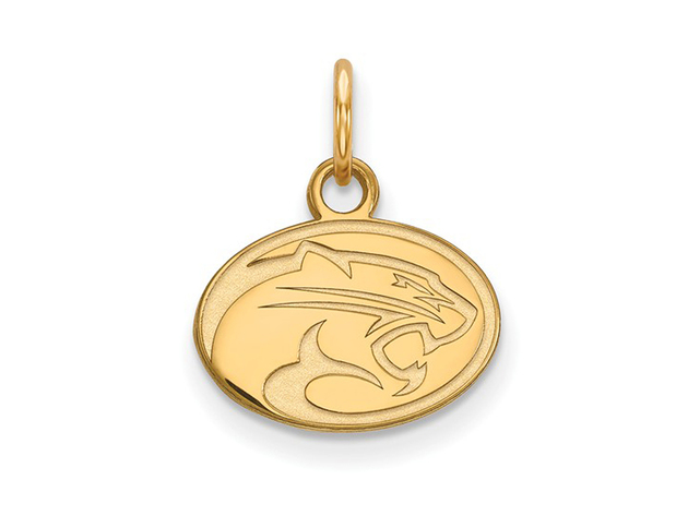 NCAA 14k Yellow Gold U. of Houston XS Charm or Pendant