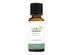 LuckyAromas - 100% Pure Essential Oil Eucalyptus - 1 fl. oz.