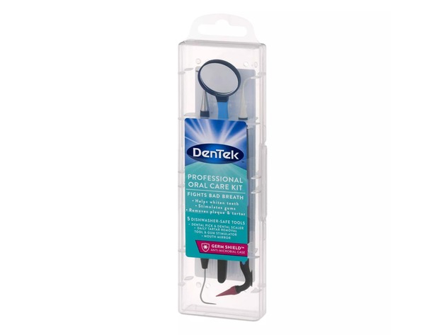 Dentek Professional Oral Care Kit with Germ-resistant Antimicrobial Case, Stainless Steel