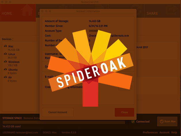 SpiderOak 300GB Cloud Storage: 1-Yr Subscription