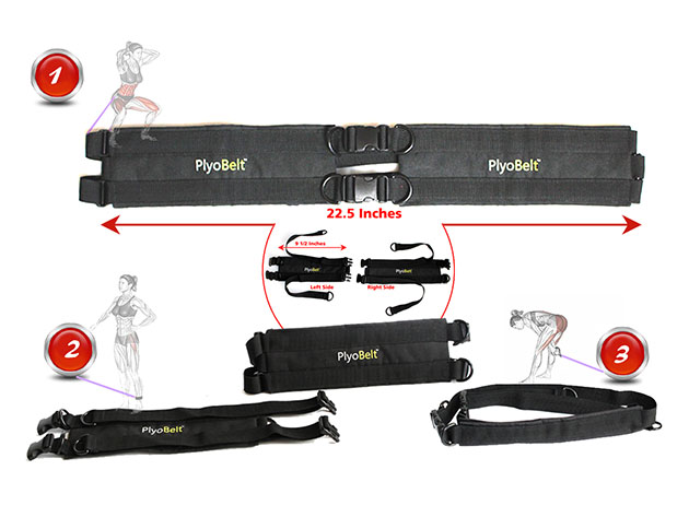 ALLN-1 PlyoBelt™ PRO Fitness Trainer