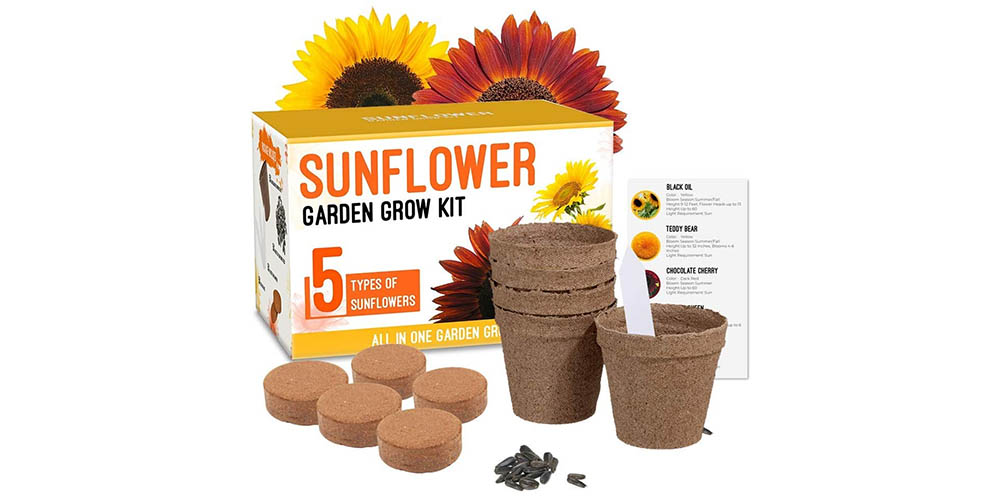 Flower frowing kit