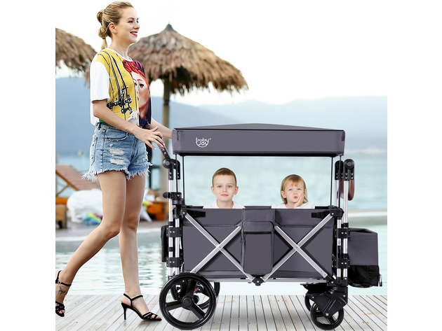 push pull wagon stroller