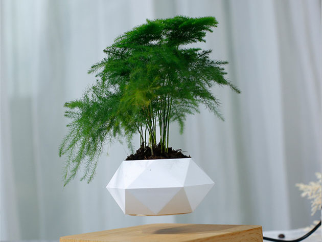 AIRSAI Floating Bonsai Plant Pot (Geometric Design)