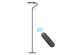 Metal Mother Daughter LED Floor Lamp with Reading Light