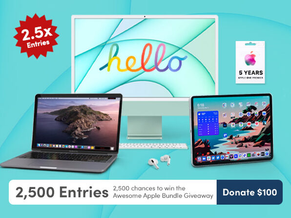 Donate $100 for 2500 Entries - Product Image