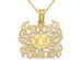 10K Yellow Gold 100% CANCER Charm Astrology Pendant Necklace with Chain