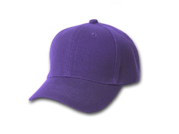 womens purple baseball cap