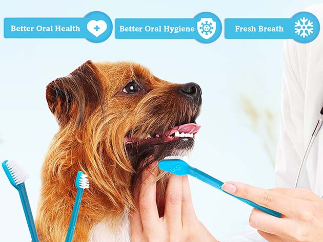 Boshel® Dog Toothbrush Set