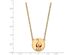 14K Plated Silver Alpha Chi Omega Large Enamel Necklace