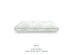 SensorPEDIC Aloe Vera Standard Memory Foam Pillow with Built-In iCOOL Technology System, White