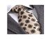 Men's Silk Necktie in Gift Box (2-Pack)