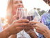 Splash Wines Best Selling Summer Bundle: 15 Bottles of Wine for Only $65