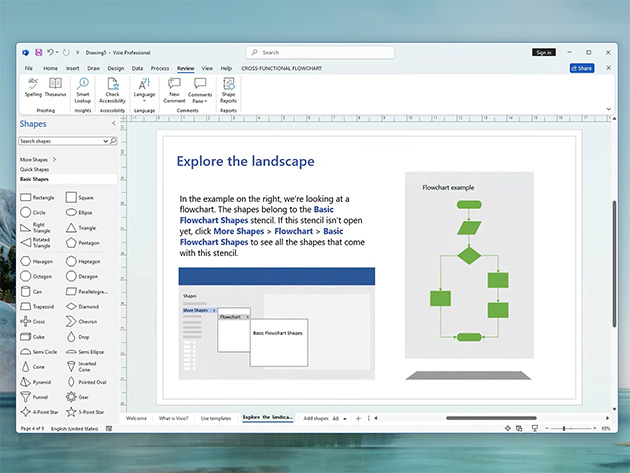 Microsoft Visio Professional 2024: Lifetime License for Windows