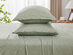 Kathy Ireland 4 Piece Heathered Jersey Knit Cotton Sheet Set (Full/Olive)