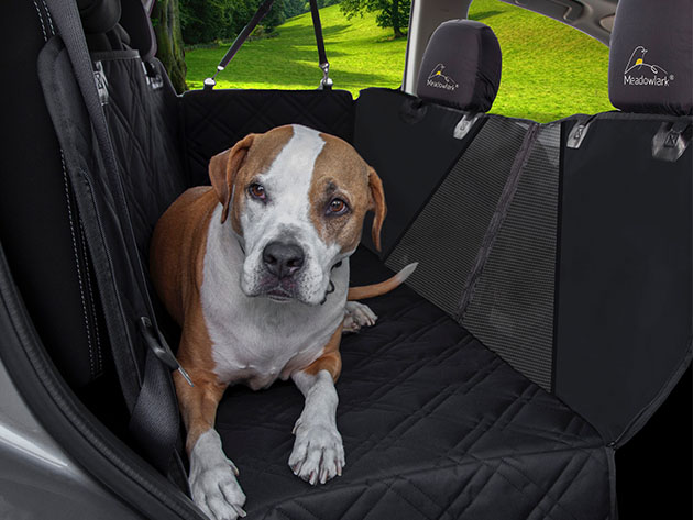 Meadowlark® Dog Seat Cover with Mesh Window