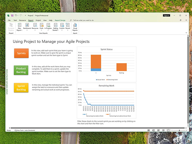 Microsoft Project Professional 2024: Lifetime License for Windows