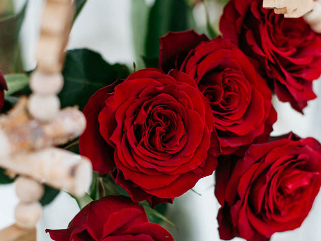 Holiday Gifting Special: Get 24 Long-Stem Roses for $34.99 Shipped!