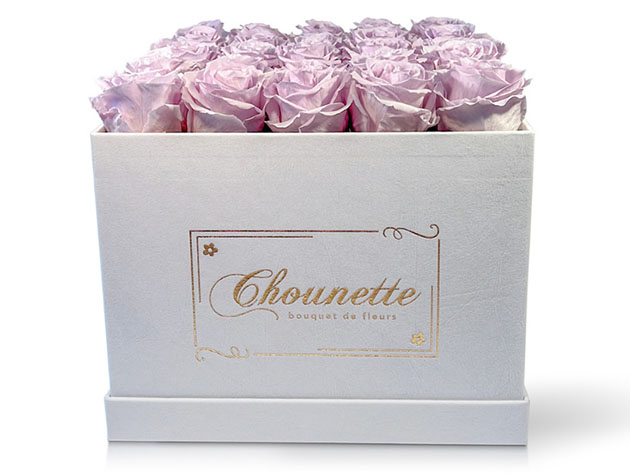 Chounette Preserved Roses (25 Lavender Roses/White Box)