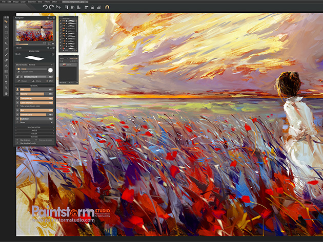 Paintstorm Studio: Perpetual Lifetime License