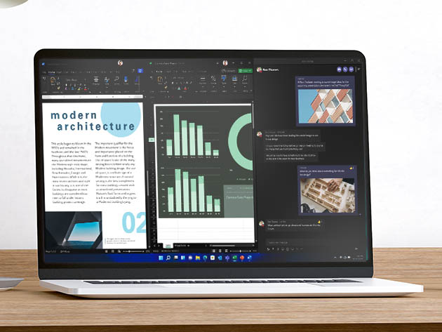 The Ultimate Microsoft Office Professional 2021 for Windows