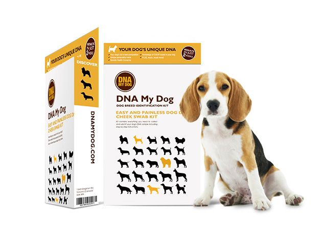 DNA My Dog Breed Identification Test
