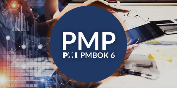 Project Management Professional (PMP) 6th Edition - Product Image